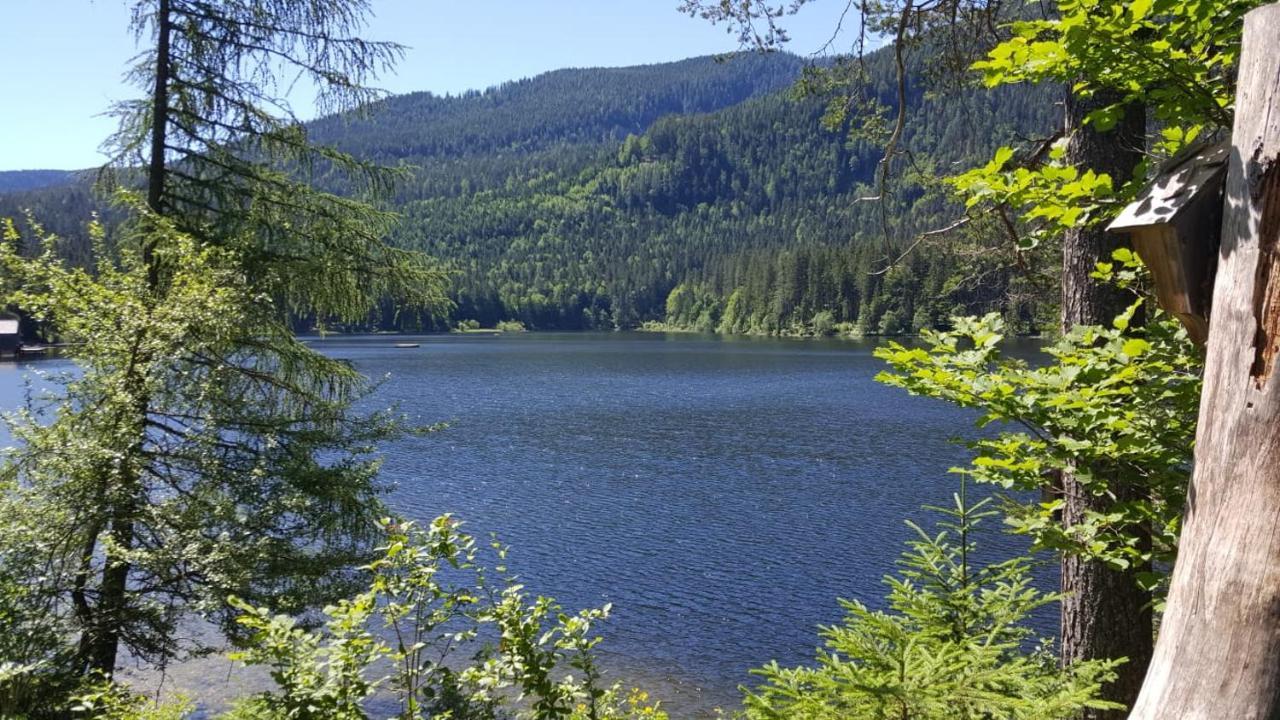 Ferienwohnung Grimmingblick - Auszeit Vom Alltag Obersdorf Экстерьер фото